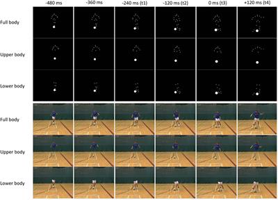 Stepovers and Signal Detection: Response Sensitivity and Bias in the Differentiation of Genuine and Deceptive Football Actions